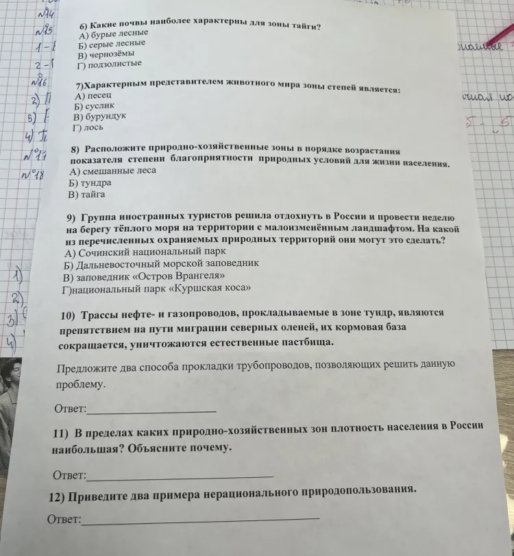 Какие почвы наиболее характерны для зоны тайги?