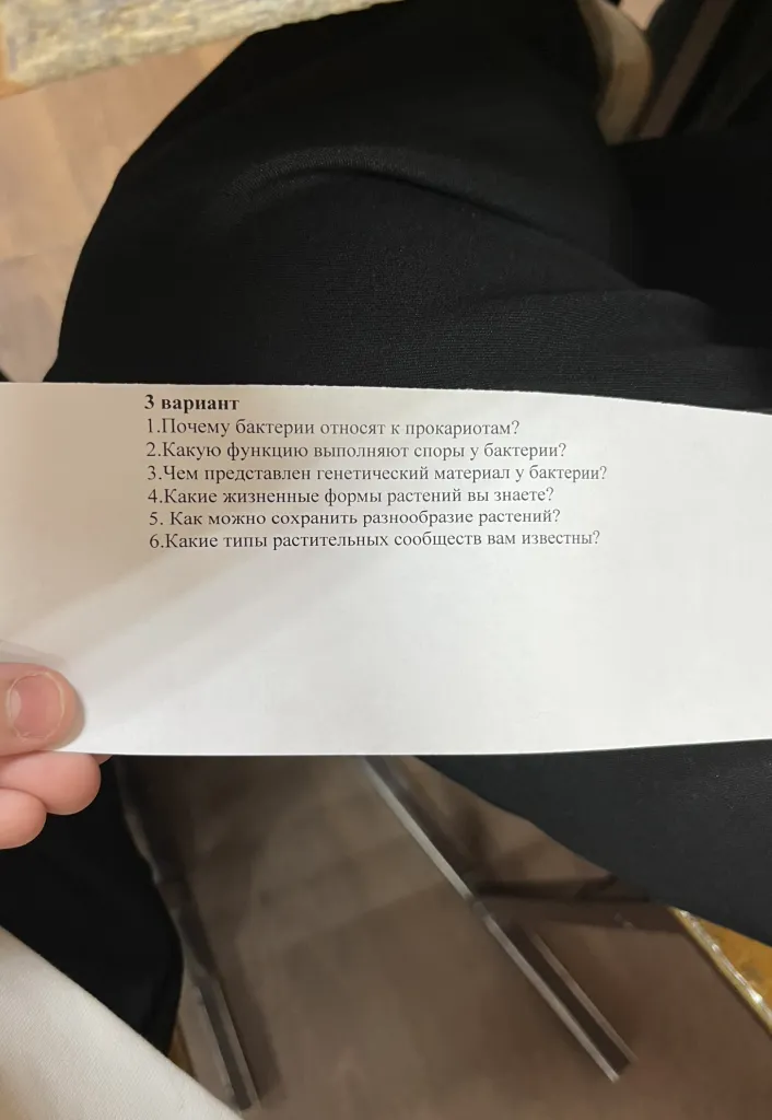 Почему бактерии относят к прокариотам?