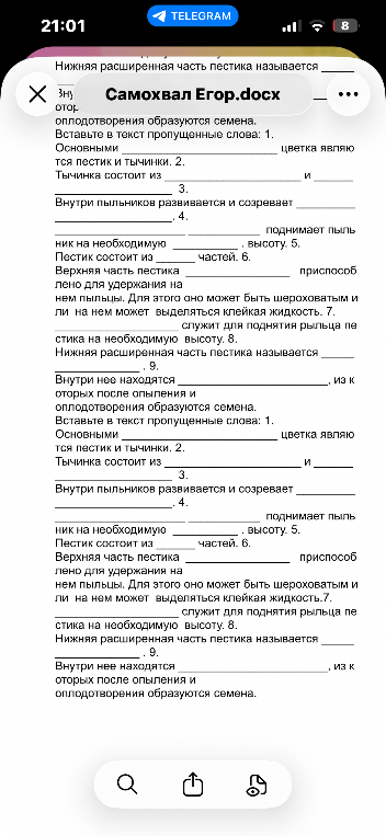 Вставьте в текст пропущенные слова: 1. Основными ___ цветка являются пестик и тычинки. 2. Тычинка состоит из ___ и ___.