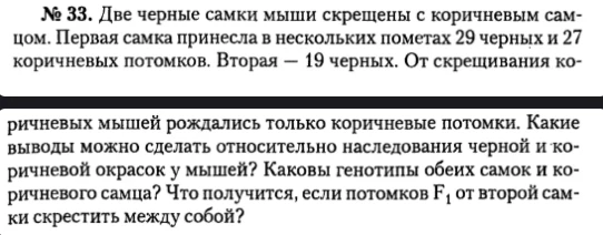 № 33. Две черные самки мыши скрещены с коричневым самцом. Первая самка принесла в нескольких пометах 29 черных и 27 коричневых потомков. Вторая — 19 черных. От скрещивания коричневых мышей рождались только коричневые потомки. Какие выводы можно сделать относительно наследования черной и коричневой окрасок у мышей? Каковы генотипы обеих самок и коричневого самца? Что получится, если потомков F₁ от второй самки скрестить между собой?