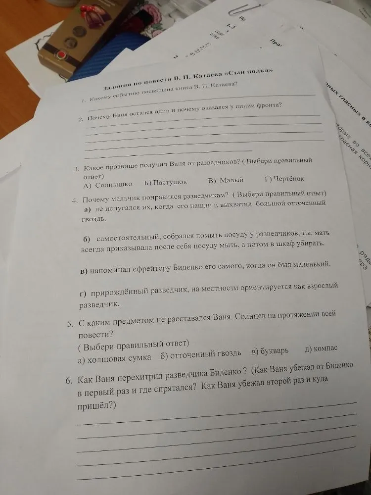 Задания по повести В. П. Катаева «Сын полка»