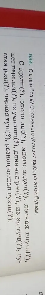 534. С ь или без ь? Обозначьте условия выбора этой буквы. С крыш(?), около дач(?), много задач(?), лесная глушь(?), нет передач(?), из училищ(?), длинная речь(?), из-за туч(?), густая рожь(?), чёрная тушь(?), разноцветная гуашь(?).