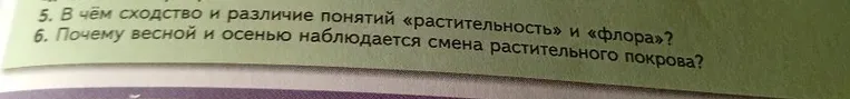 5. В чём сходство и различие понятий «растительность» и «флора»? 6. Почему весной и осенью наблюдается смена растительного покрова?