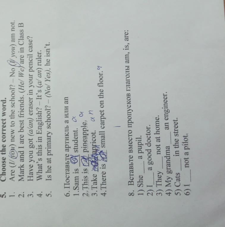 Choose the correct word. Поставьте артикль a или an. Вставьте вместо пропусков глаголы am, is, are