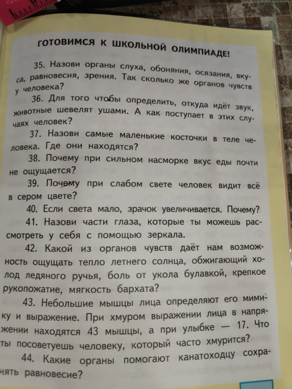 Назови органы слуха, обоняния, осязания, вкуса, равновесия, зрения. Так сколько же органов чувств у человека?