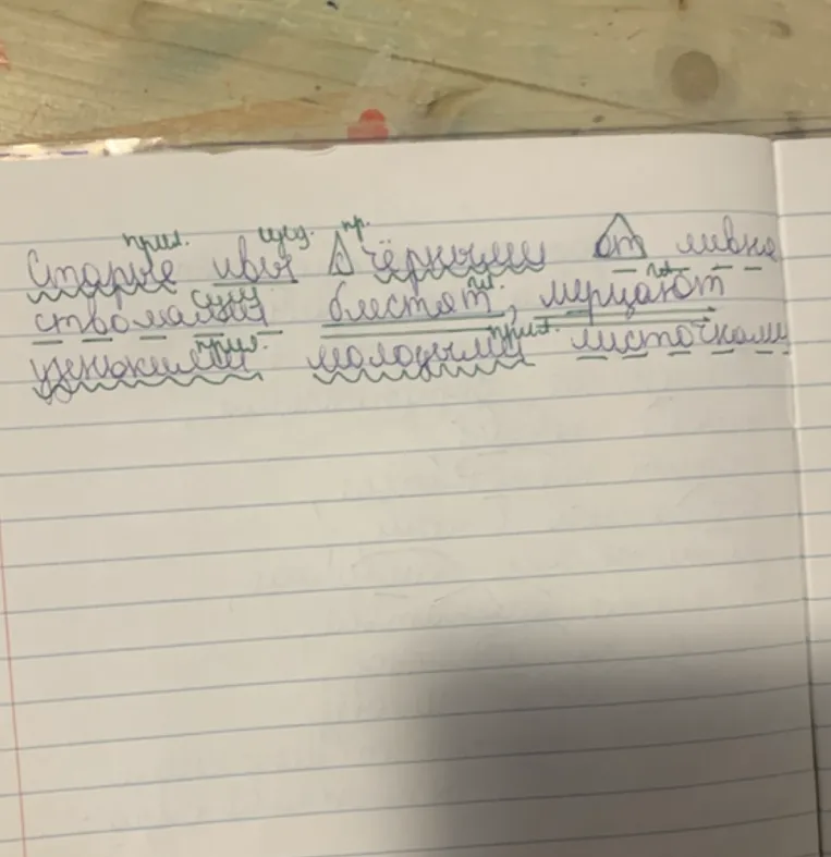 Сделай синтаксический разбор полностью предложения: Старые ивы с чёрными от ливня стволами блестят, мерцают узкими молодыми листочками.