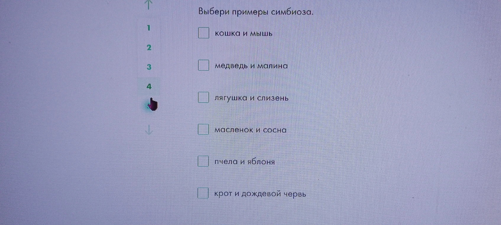 Выбери примеры симбиоза.
