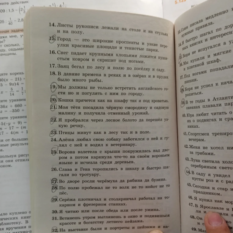Расставь запятые в предложениях 14-32.