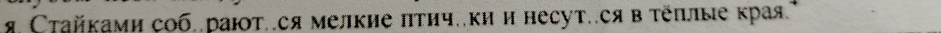 Стайками собираются мелкие птички и несутся в тёплые края.