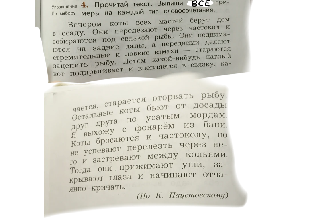 Упражнение 4. Прочитай текст. Выпиши по 2-3 примера на каждый тип словосочетания.