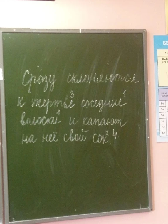 Сразу склоняются к третьей соседке волоски и капают на неё свой сок.