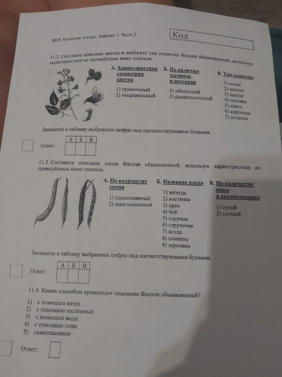 11.2. Составьте описание цветка и выберите тип соцветия Фасоли обыкновенной, используя характеристики из приведённых ниже списков.