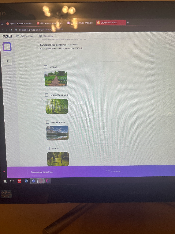 Выберите три правильных ответа. К природным сообществам относятся: