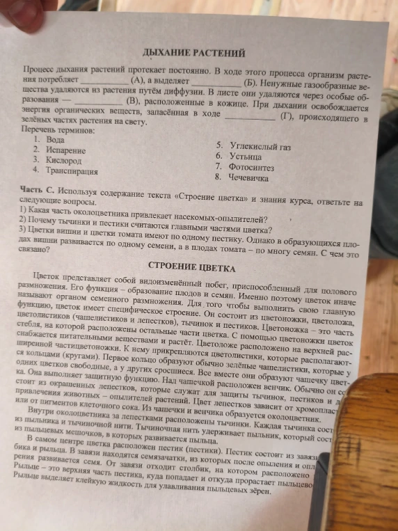 ДЫХАНИЕ РАСТЕНИЙ. Процесс дыхания растений протекает постоянно. В ходе этого процесса организм растения потребляет (А), а выделяет (Б). СТРОЕНИЕ ЦВЕТКА. 1) Какая часть околоцветника привлекает насекомых-опылителей?