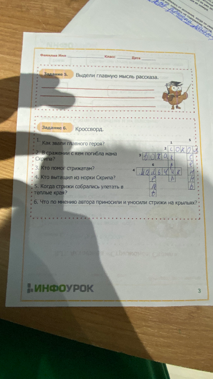 Выдели главную мысль рассказа. Кроссворд по произведению «Стрижонок Скрип».