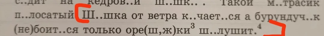 Разбор предложение под цифрой 3 и 4: «Шишка от ветра качается а бурундучок (не)боится только орешки шелушит».