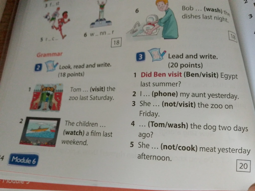 Look, read and write. Lead and write. (Grammar: Past Simple)