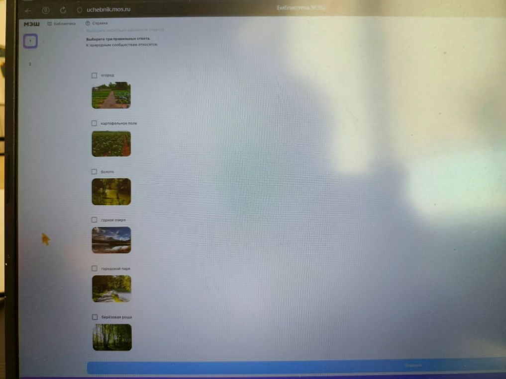 Выберите три правильных ответа. К природным сообществам относятся: