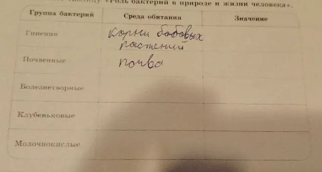 Заполни таблицу «Роль бактерий в природе и жизни человека».