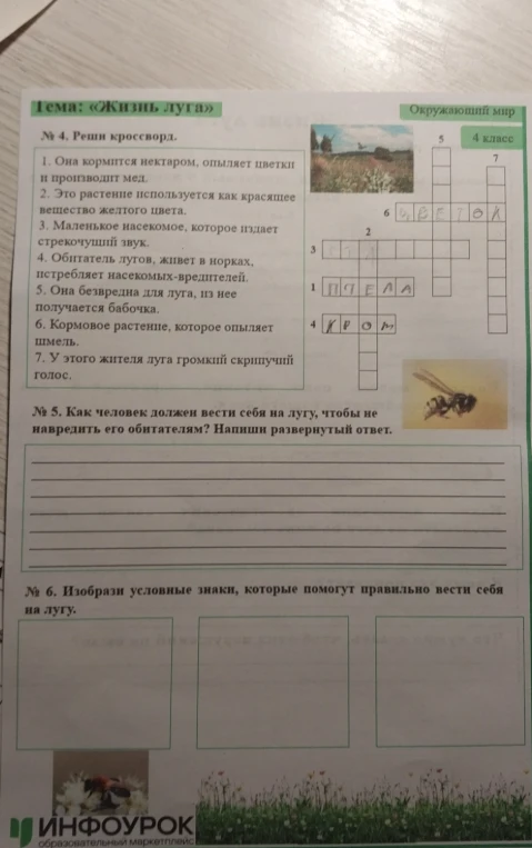 Реши кроссворд по теме «Жизнь луга». Напиши развернутый ответ о правилах поведения на лугу и изобрази условные знаки.
