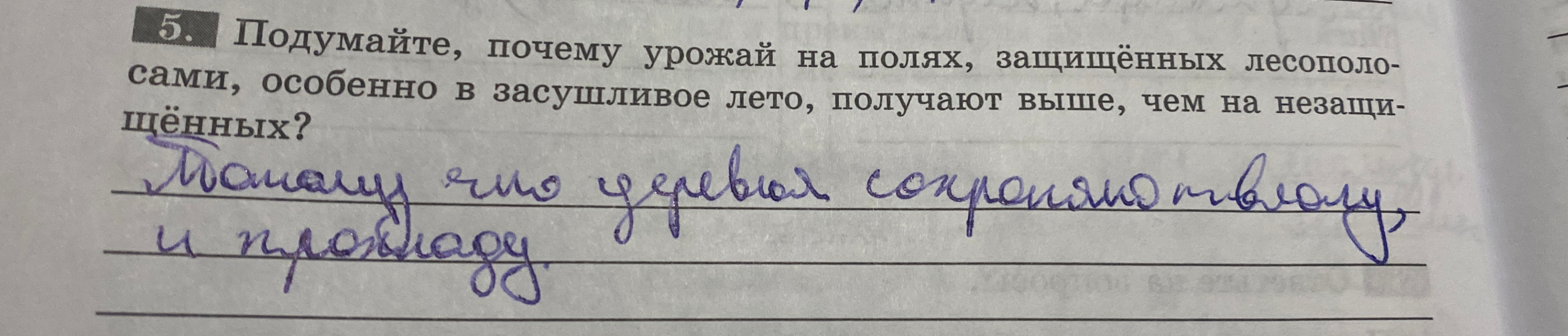 5. Подумайте, почему урожай на полях, защищённых лесополосами, особенно в засушливое лето, получают выше, чем на незащищённых?