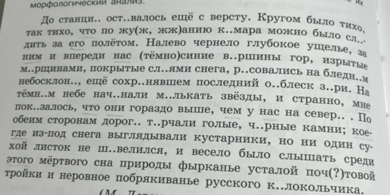 До станции оставалось ещё с версту. Кругом было тихо, так тихо, что по жужжанию комара можно было следить за его полётом.