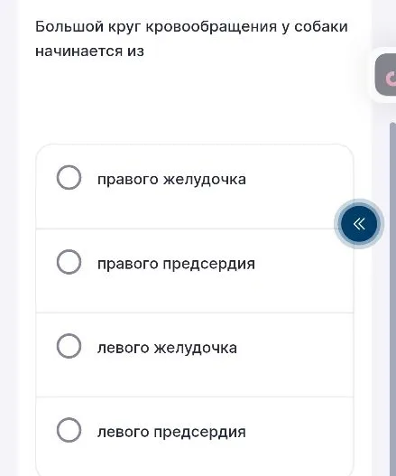 Большой круг кровообращения у собаки начинается из