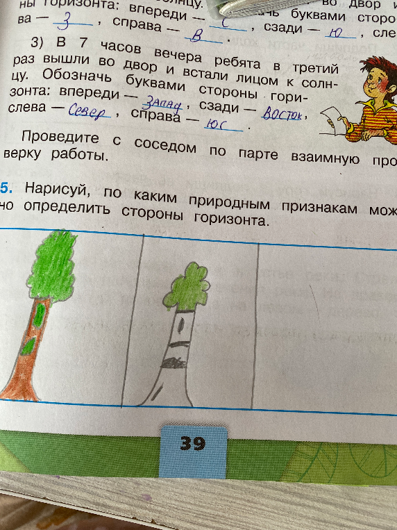 Нарисуй, по каким природным признакам можно определить стороны горизонта.