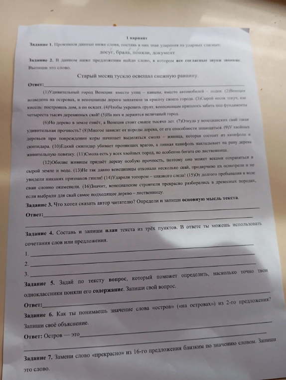 Задание 1. Произнеси данные ниже слова, поставь в них знак ударения на ударных гласных: досуг, брала, поняли, документ.