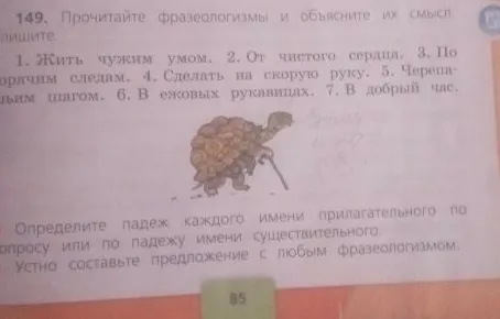 149. Прочитайте фразеологизмы и объясните их смысл. Определите падеж каждого имени прилагательного по вопросу или по падежу имени существительного.