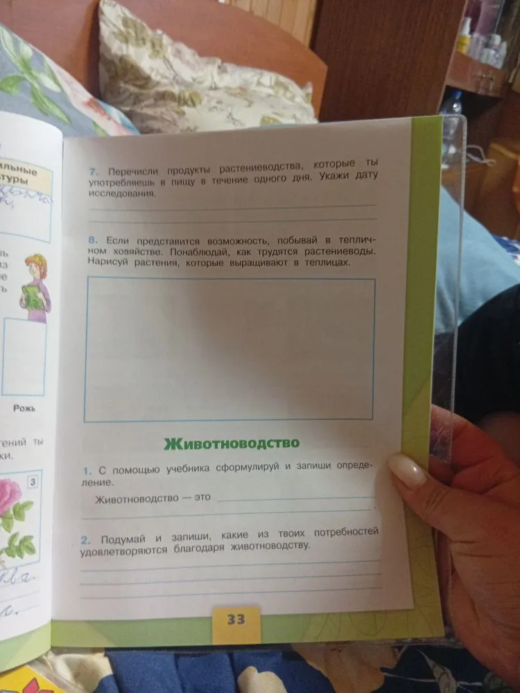 7. Перечисли продукты растениеводства, которые ты употребляешь в пищу в течение одного дня. Укажи дату исследования.