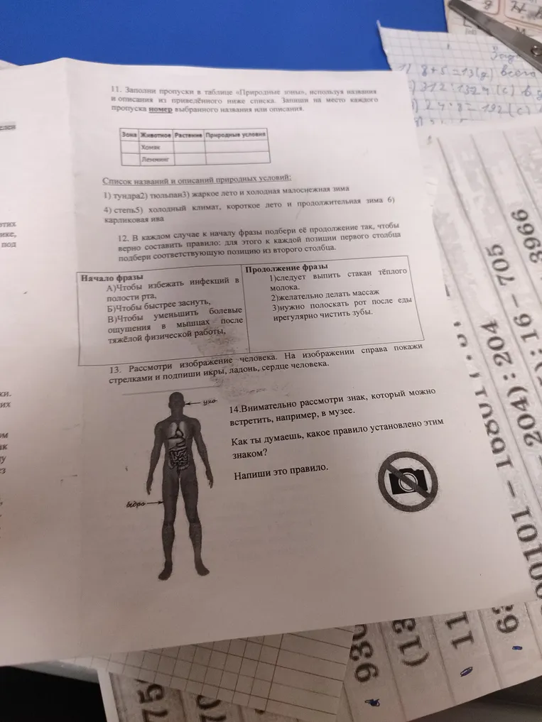 11. Заполни пропуски в таблице «Природные зоны», используя названия и описания из приведённого ниже списка. Запиши на место каждого пропуска номер выбранного названия или описания.
