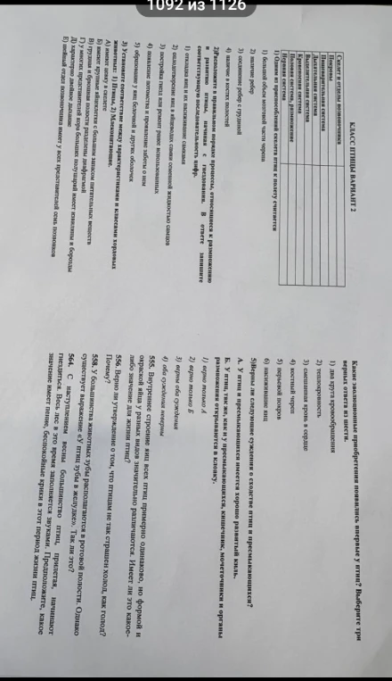 Класс Птицы Вариант 2 (задания по биологии)