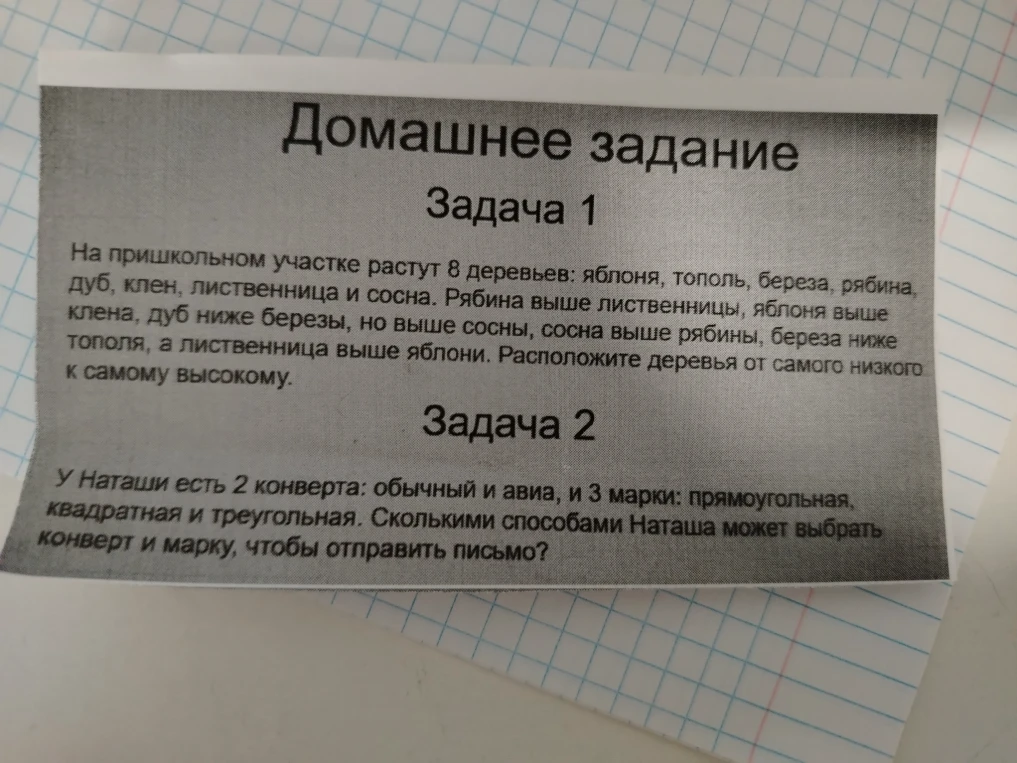На пришкольном участке растут 8 деревьев: яблоня, тополь, береза, рябина, дуб, клен, лиственница и сосна.