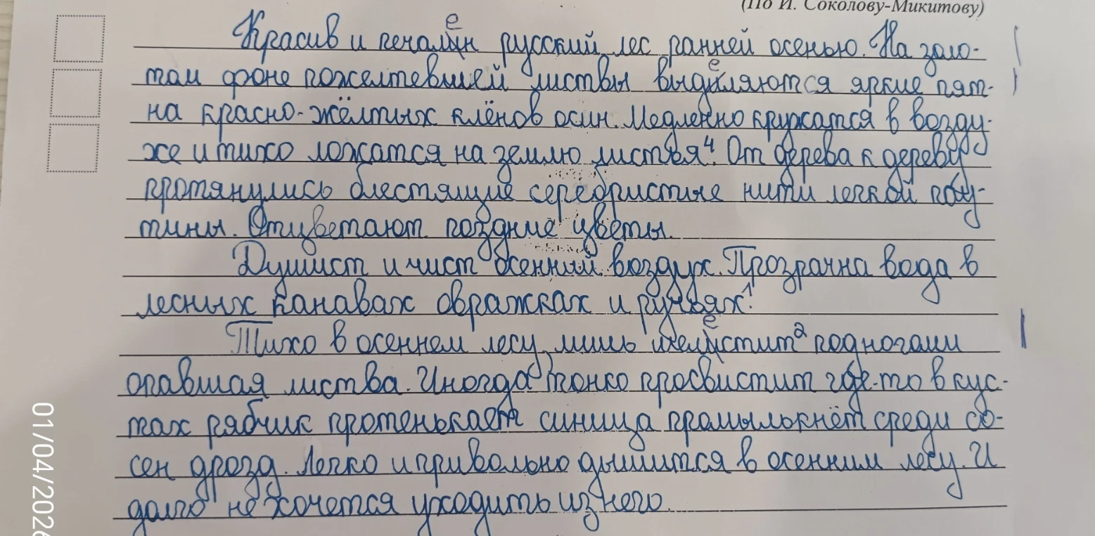Красив и печален русский лес ранней осенью.