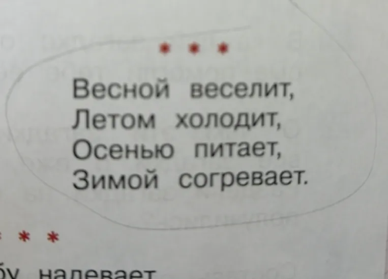 Весной веселит, Летом холодит, Осенью питает, Зимой согревает.