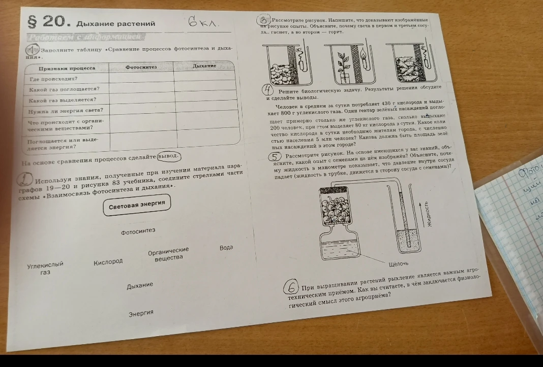 Заполните таблицу «Сравнение процессов фотосинтеза и дыхания».