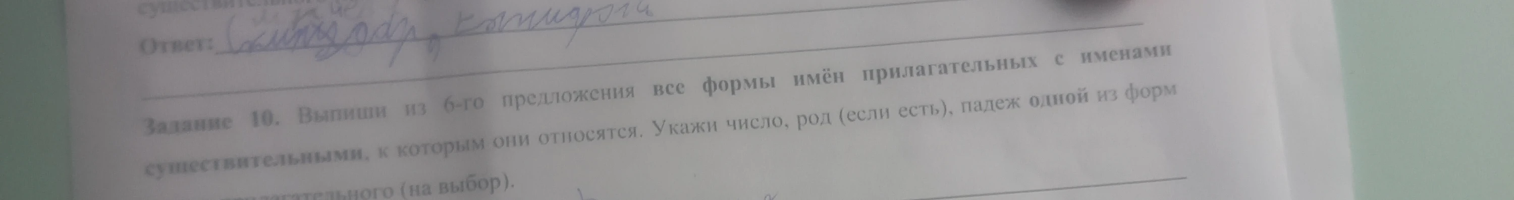 Задание 10. Выпиши из 6-го предложения все формы имён прилагательных с именами существительными, к которым они относятся. Укажи число, род (если есть), падеж одной из форм прилагательного (на выбор).