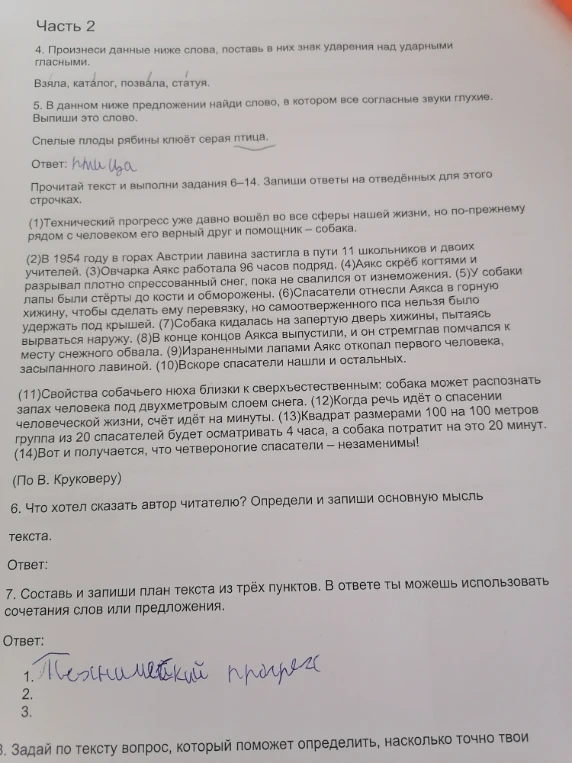 Составь и запиши план текста из трёх пунктов. В ответе ты можешь использовать сочетания слов или предложения.