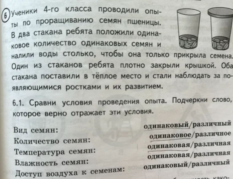 Сравни условия проведения опыта. Подчеркни слово, которое верно отражает эти условия.