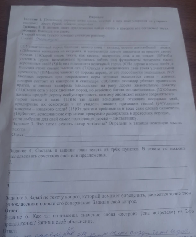 Задание 1. Произнеси данные ниже слова, поставь в них знак ударения на ударных гласных: досуг, брала, поняли, документ.