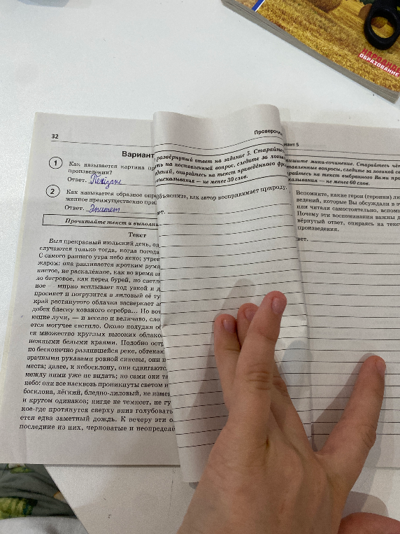Как называется картина природы в художественном произведении?