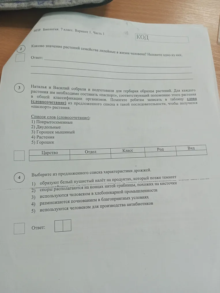 Каково значение растений семейства лилейные в жизни человека? Назовите одно из них.