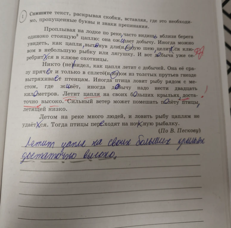Никто (не)видел, как цапля летит с добычей.