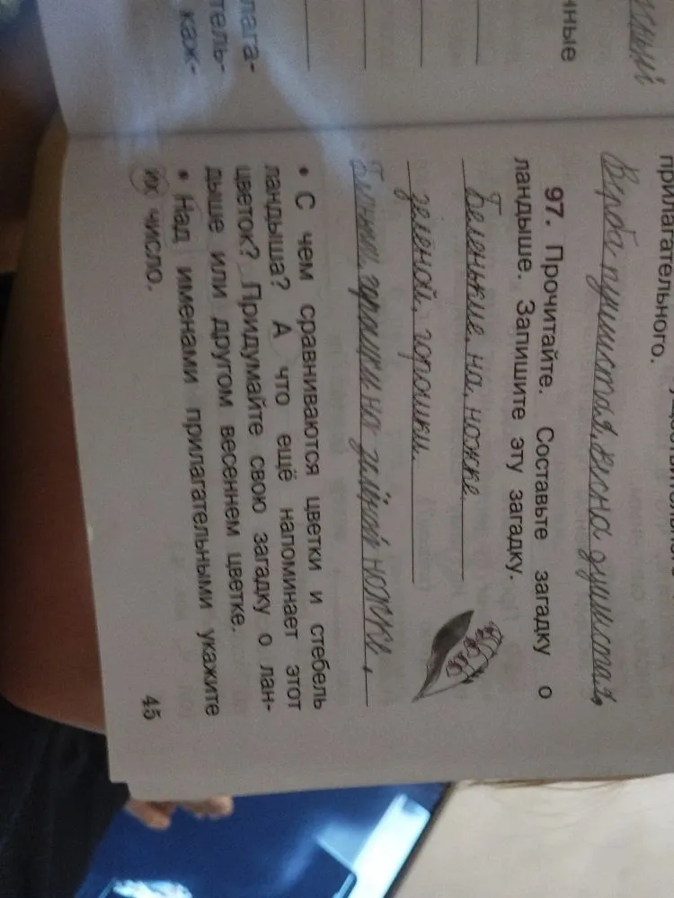 97. Прочитайте. Составьте загадку о ландыше. Запишите эту загадку.