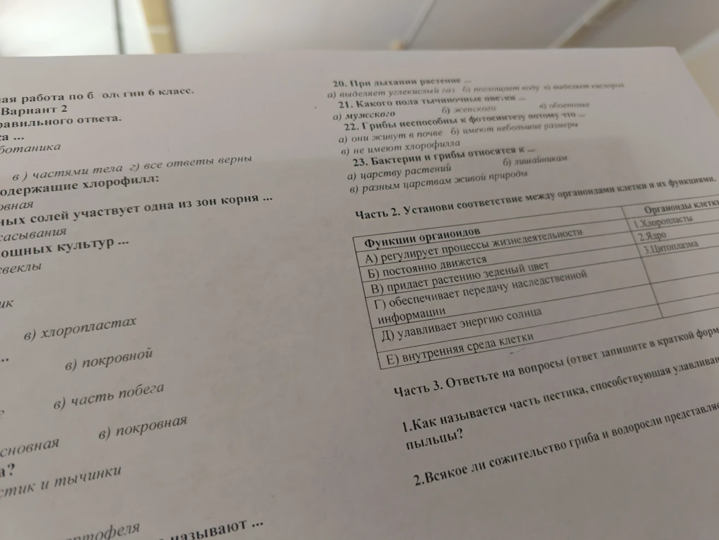 20. При дыхании растение ... 21. Какого пола тычиночные цветки ... 22. Грибы неспособны к фотосинтезу потому что ... 23. Бактерии и грибы относятся к ... Часть 2. Установи соответствие между органоидами клетки и их функциями.