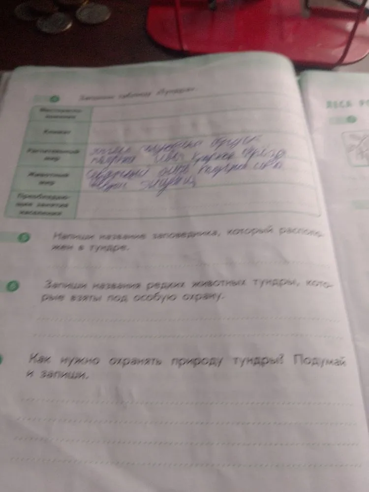 Напиши название заповедника, который расположен в тундре.