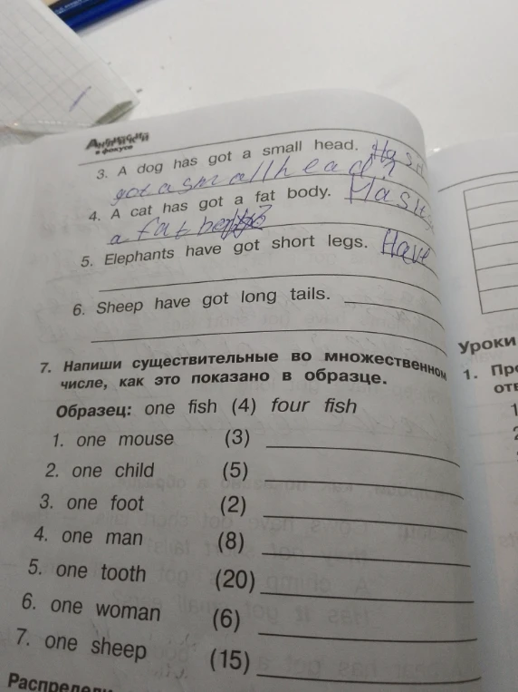 Напиши существительные во множественном числе, как это показано в образце.