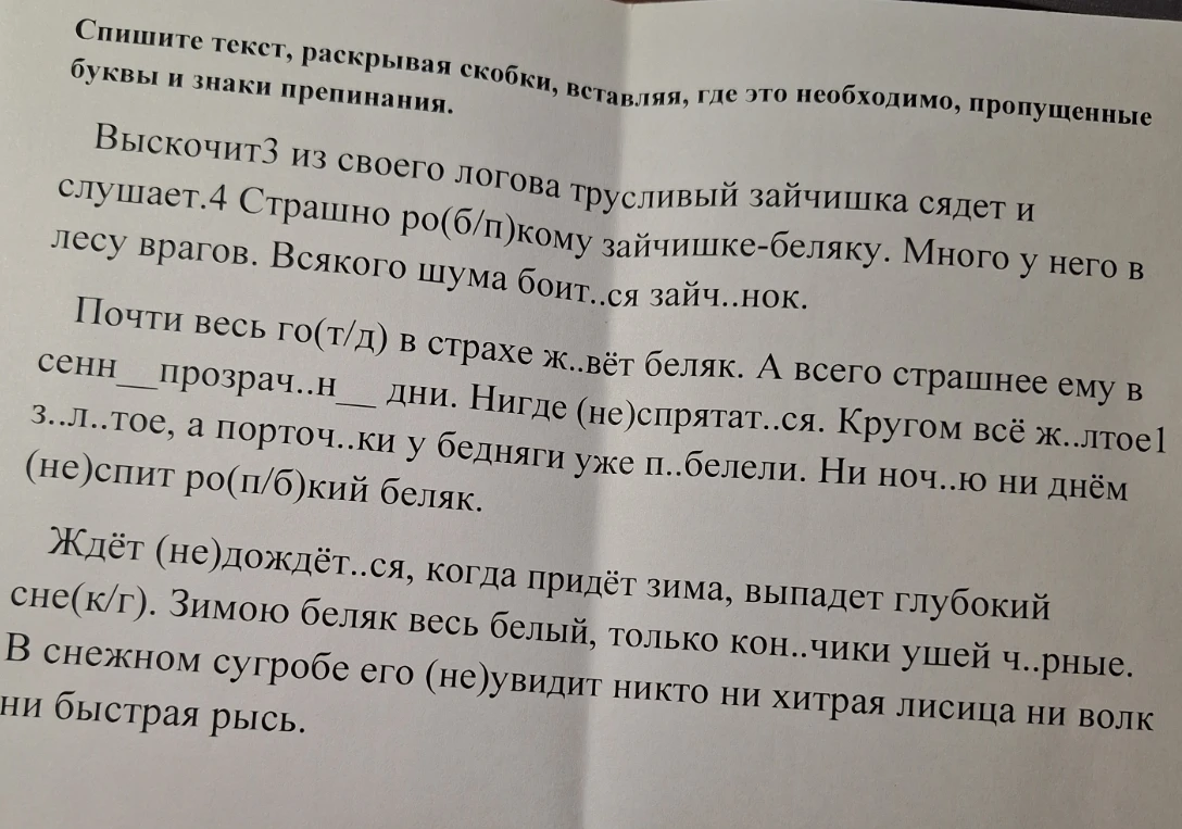 Спишите текст, раскрывая скобки, вставляя, где это необходимо, пропущенные буквы и знаки препинания.