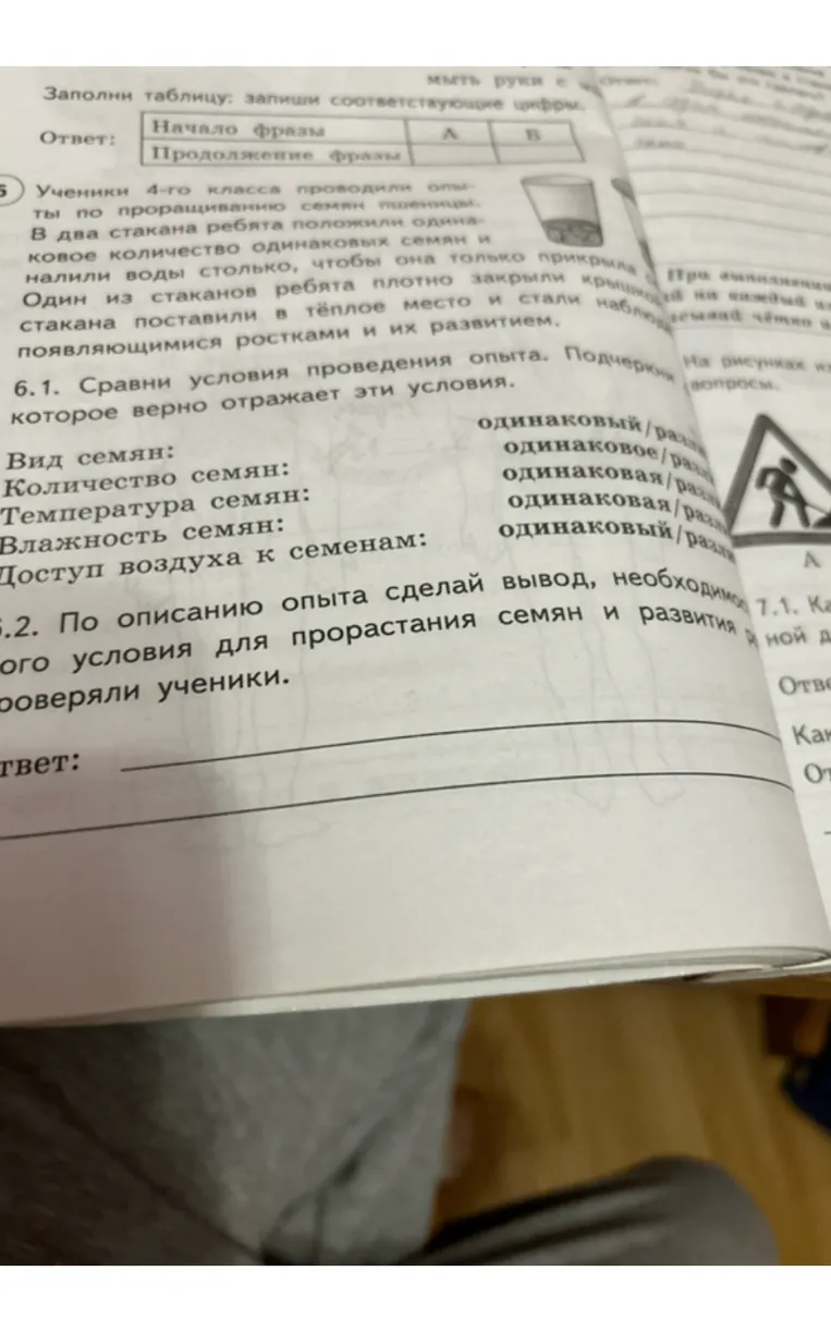 Ученики 4-го класса проводили опыты по проращиванию семян пшеницы. В два стакана ребята положили одинаковое количество одинаковых семян и налили воды столько, чтобы она только прикрыла семена.